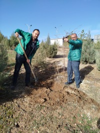 Sürdürülebilir Bir Geleceğe Nefes: İdari Personelimizden Toprağa Umut, Yarına Yeşil Bir Miras